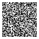 QR код "ДНС"