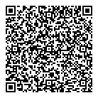 QR код "ДНС"