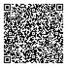 QR код "ДНС"