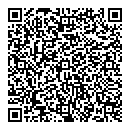 QR код "Explosion"