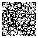 QR код "Аэлита"