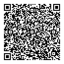 QR код "Мир"