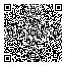 QR код "Стриж"