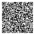 QR код "Блиц Аудит"