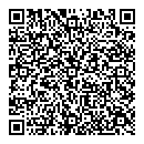 QR код "Венеция"