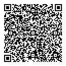 QR код "ДНС"