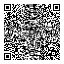 QR код "Finn Flare"