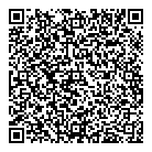 QR код "ДНС"