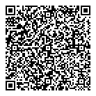 QR код "Vega"