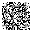 QR код "Night flight"
