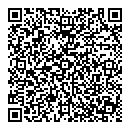 QR код "Link"