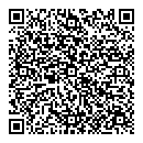 QR код "Всё по 29"