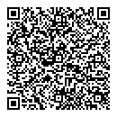 QR код "Бублик"
