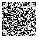 QR код "Всё по 29"
