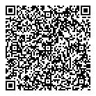 QR код "Skin Toys"