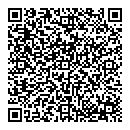 QR код "Ночь"