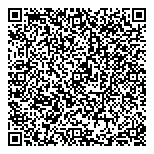 QR код "Тесла"