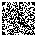 QR код "Давид"