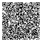 QR код "Фрисби"