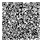 QR код "Фрисби"