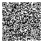 QR код "Фрисби"
