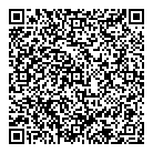QR код "Фрисби"