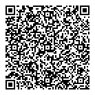 QR код "Фрисби"