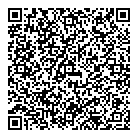 QR код "Фрисби"