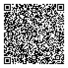 QR код "Фрисби"