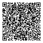 QR код "Фрисби"