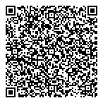 QR код "Фрисби"