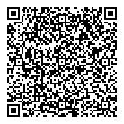 QR код "Фрисби"