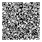 QR код "Фрисби"
