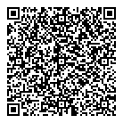 QR код "Фрисби"