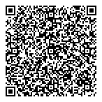 QR код "Фрисби"
