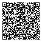 QR код "Фрисби"