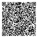 QR код "Фрисби"