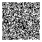 QR код "Фрисби"