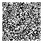 QR код "Фрисби"