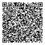 QR код "Фрисби"