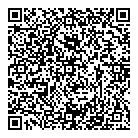 QR код "Фрисби"