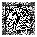 QR код "Фрисби"