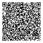 QR код "Фрисби"