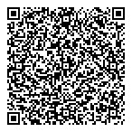 QR код "Фрисби"