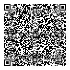 QR код "Фрисби"