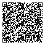 QR код "Фрисби"