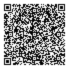 QR код "Фрисби"