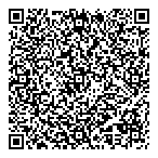 QR код "Фрисби"