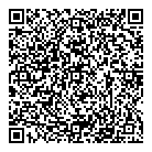 QR код "Фрисби"