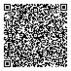 QR код "Фрисби"